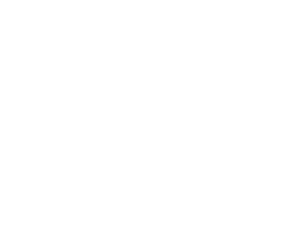 Merix