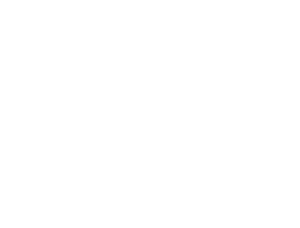 TD